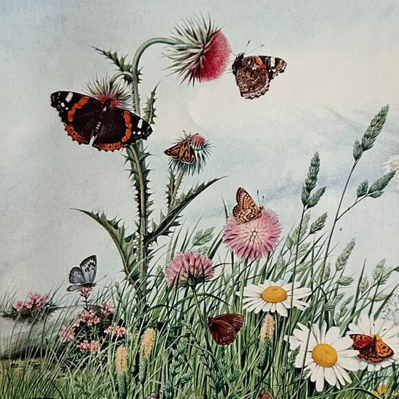 The Butterflies' Haunt, Myles, Fantasy, Illustration Art Print ~ 250801-WH 595 G - Picture 1 of 2